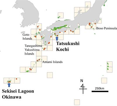 Consideration of Genetic Structure in the Ecologically or Biologically Significant Marine Areas Criteria: A Review of Convention on Biological Diversity Regional Workshops and A Case Study of Coral Reef Conservation Planning